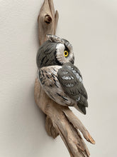 Load image into Gallery viewer, Screech Owl (Grey phase)