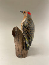 Load image into Gallery viewer, Northern Flicker