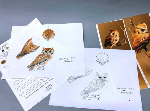 Harris Hawk Packet (2023)