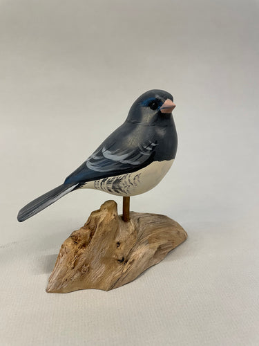 Junco