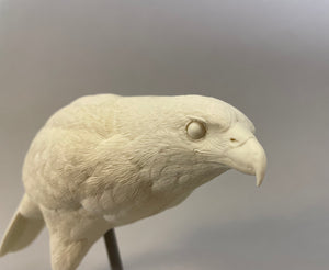 Harris Hawk 1/2 scale Cast (2023)