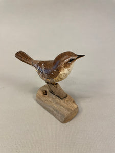 House Wren