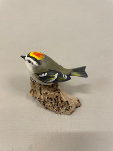 Golden-crowned kinglet