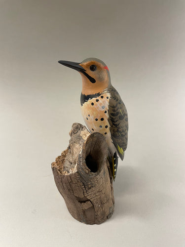 Northern Flicker