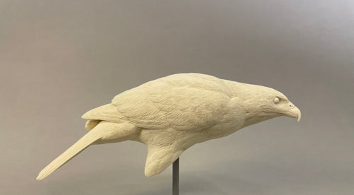 Harris Hawk 1/2 scale Cast (2023)