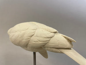 Harris Hawk 1/2 scale Cast (2023)