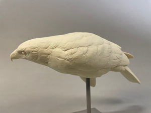 Harris Hawk 1/2 scale Cast (2023)