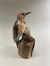 Load image into Gallery viewer, Northern Flicker