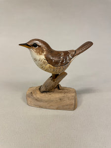 House Wren
