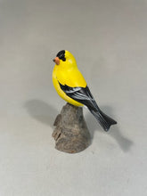 Load image into Gallery viewer, American Goldfinch