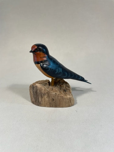 Barn Swallow