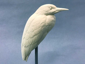 Black-crowned Night Heron 1/3 scale Cast