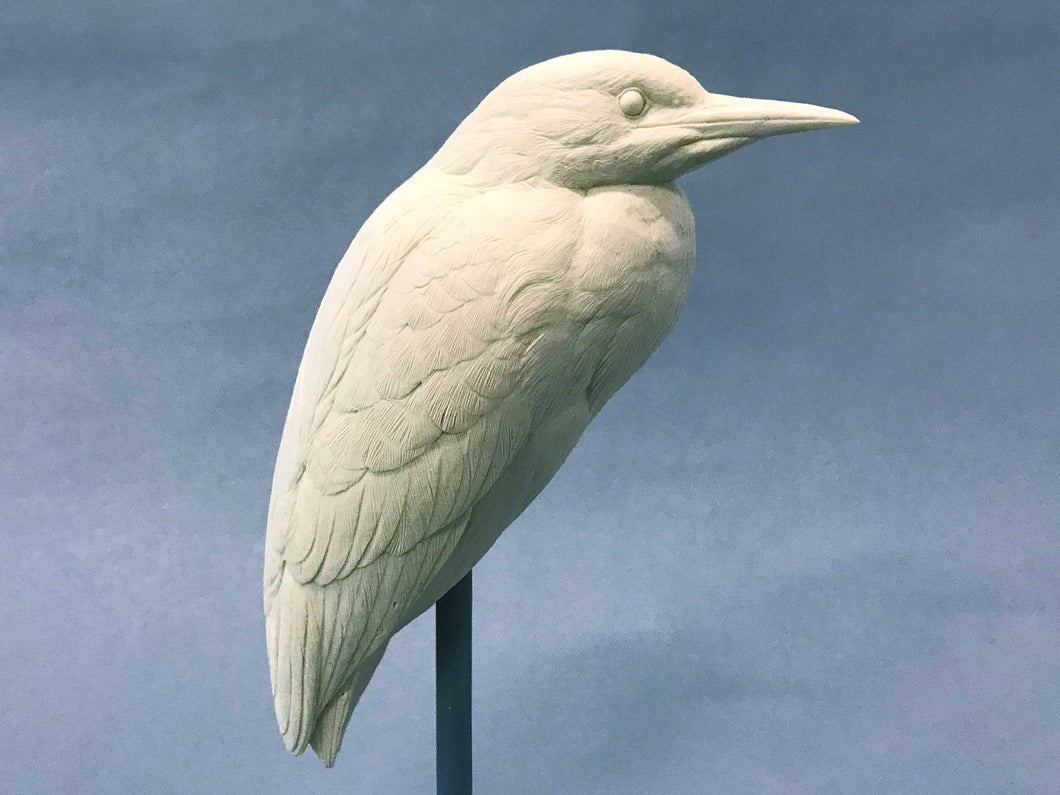 Black-crowned Night Heron 1/3 scale Cast