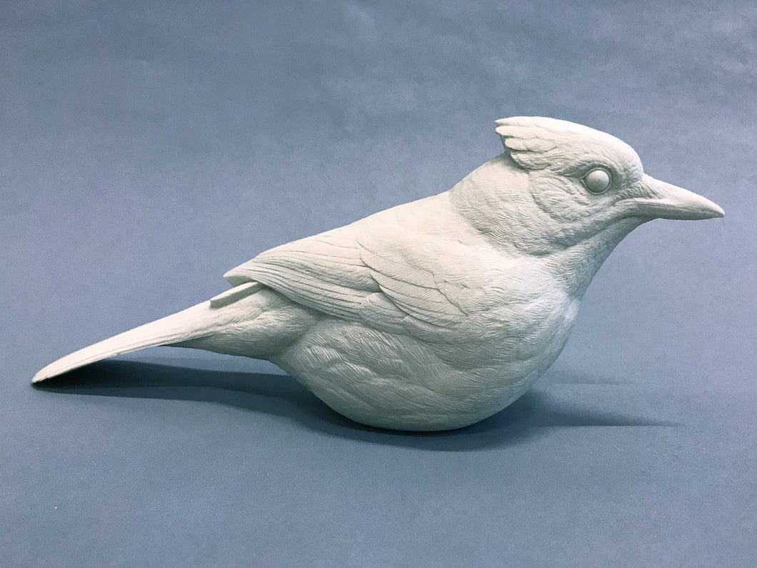 Bluejay Cast