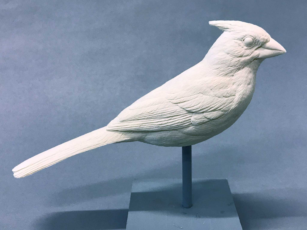 Summer Cardinal Cast