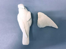 Load image into Gallery viewer, Cedar Waxwing Open-winged (2-piece) Cast