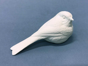 Black-capped Chickadee Cast