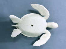Load image into Gallery viewer, Green Sea Turtle Cast (mini-6 inches long)