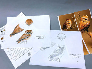 Painted Bunting-open beak Packet