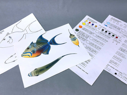 Brook Trout Packet