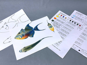French Angelfish Packet