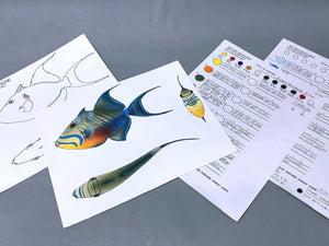 Golden Trout Packet