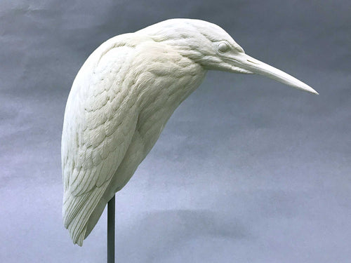 Green Heron Cast