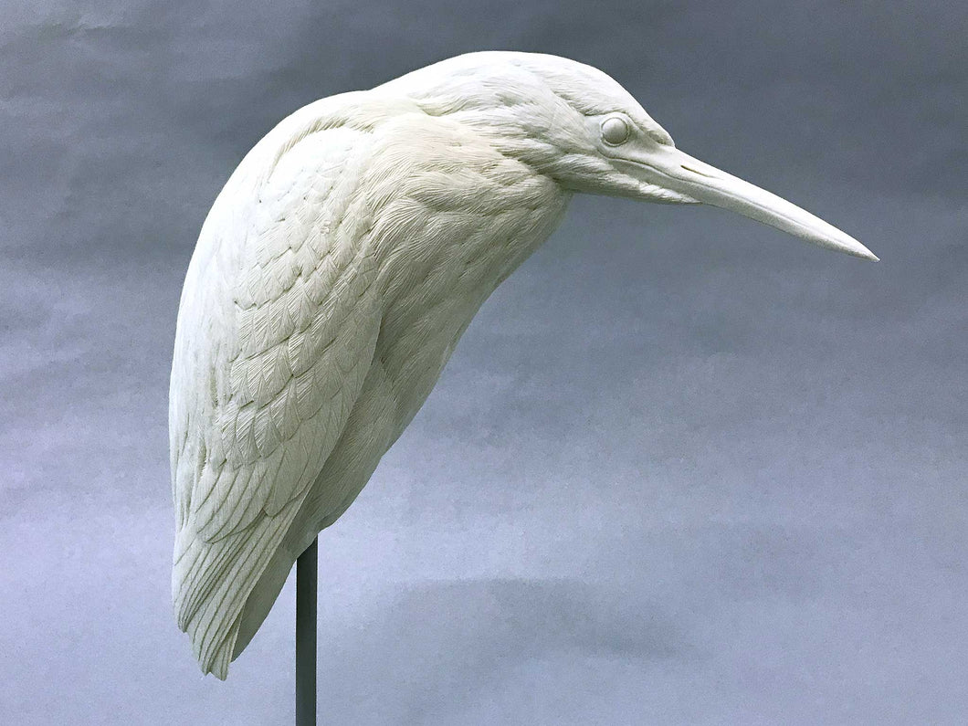 Green Heron Cast
