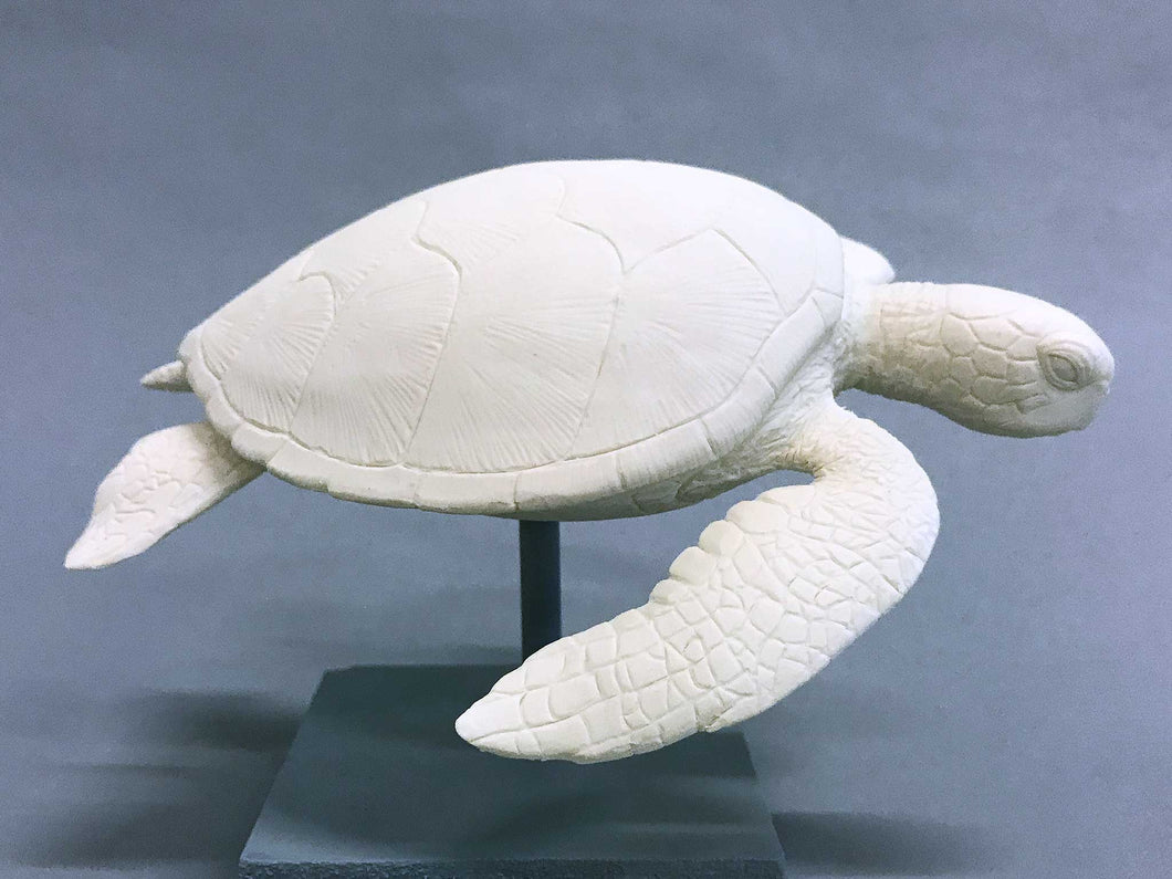 Green Sea Turtle Cast (mini-6 inches long)