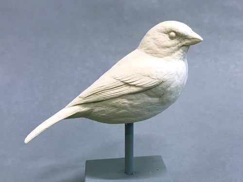 Indigo Bunting Cast