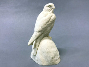 American Kestrel on rock 1/2 scale Cast