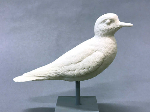 Killdeer 2/3 scale Cast