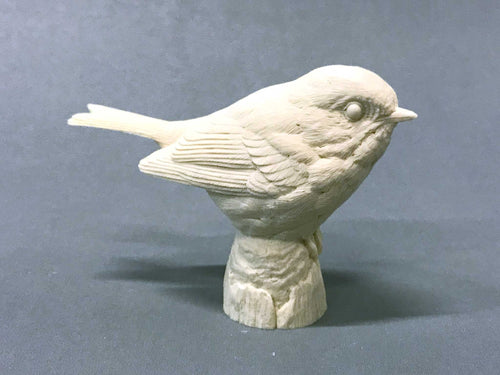 Golden-crowned Kinglet Cast