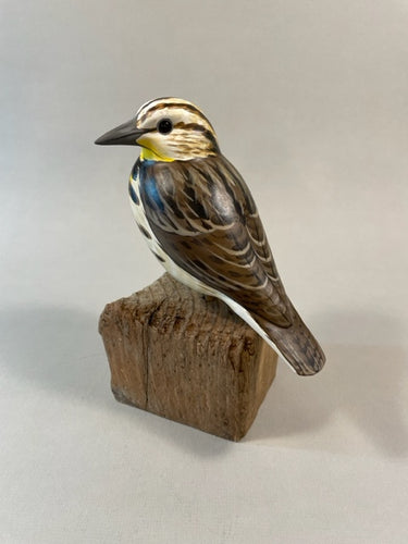 Meadowlark
