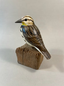 Meadowlark