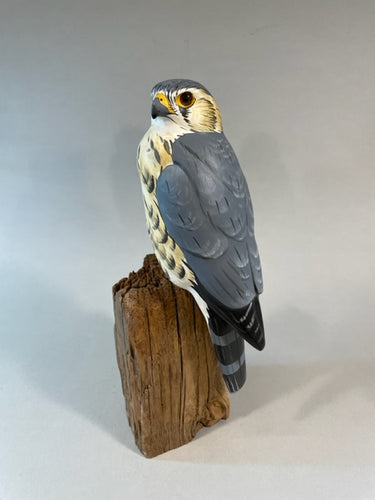 Merlin