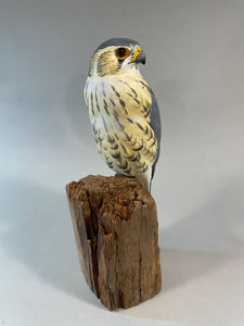 Merlin