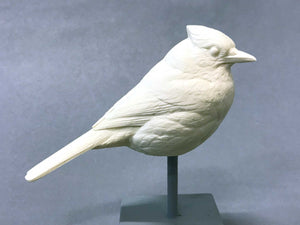 Bluejay 1/2 scale Cast