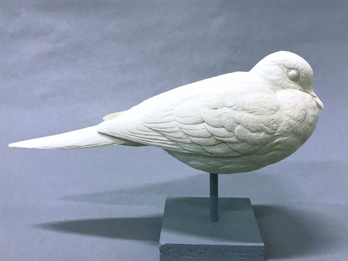 Mourning Dove Cast