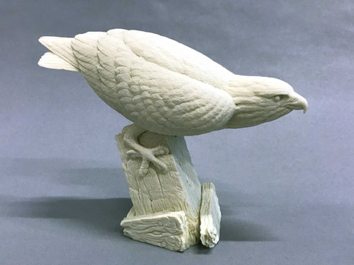Osprey 1/4 scale Cast