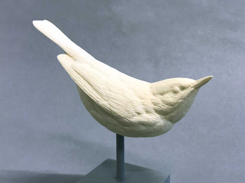 Ovenbird Cast