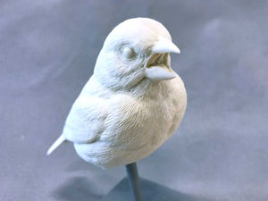 Painted Bunting-opened beak cast