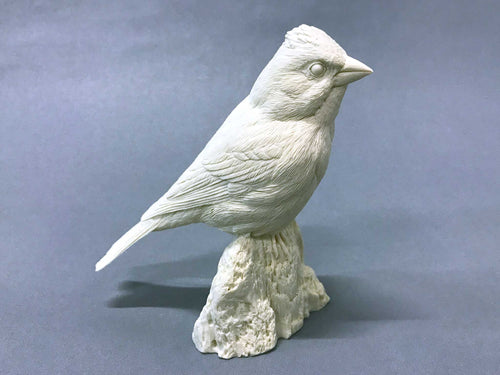 Purple Finch Cast