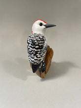 Load image into Gallery viewer, Red-bellied Woodpecker