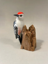 Load image into Gallery viewer, Red-bellied Woodpecker