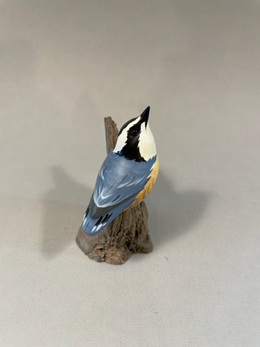 Red-breasted Nuthatch