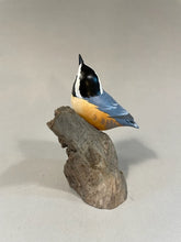 Load image into Gallery viewer, Red-breasted Nuthatch