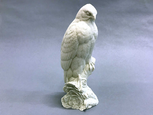 Red-shouldered Hawk 1/3 scale Cast