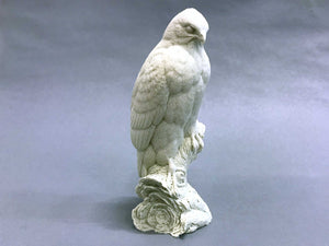 Red-shouldered Hawk 1/3 scale Cast