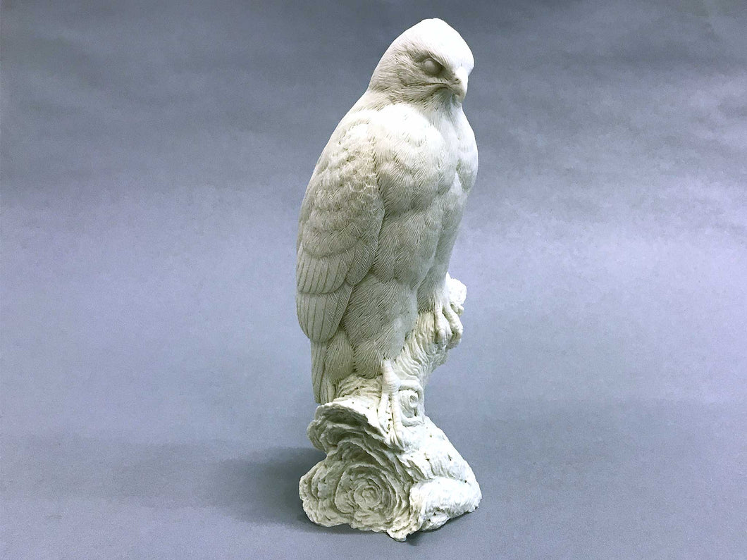Red-shouldered Hawk 1/3 scale Cast